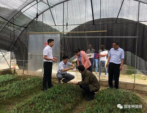 国家林业和草原局场圃总站到陕西调研林木种苗工作